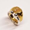 GUARDIAN RING2