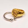 GUARDIAN RING4